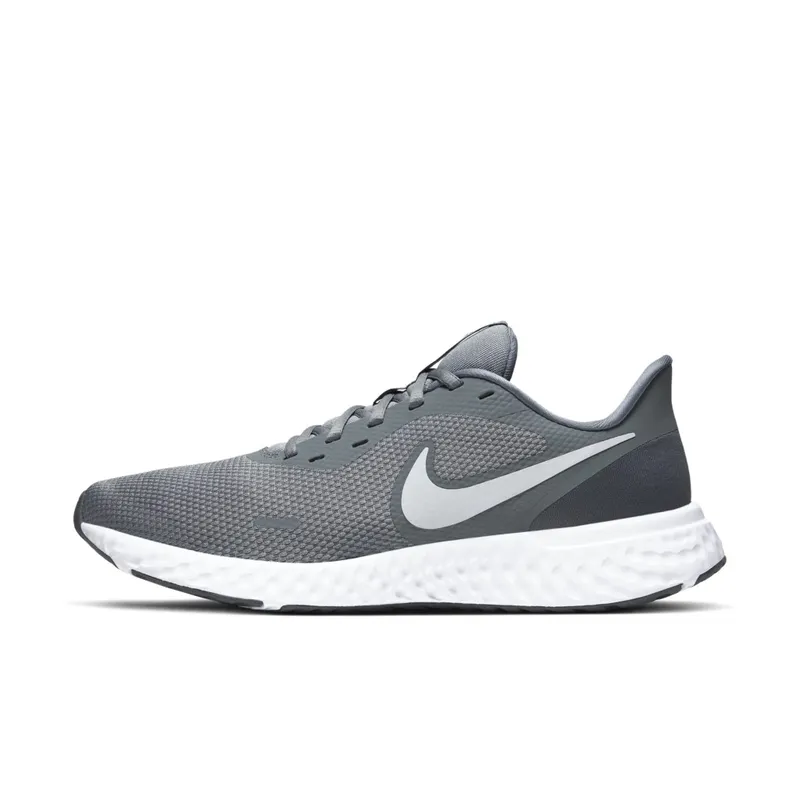 Nike Revolution 5 Cool Grey Cool Grey/Dark Grey-Pure Platinum (BQ3204-005)