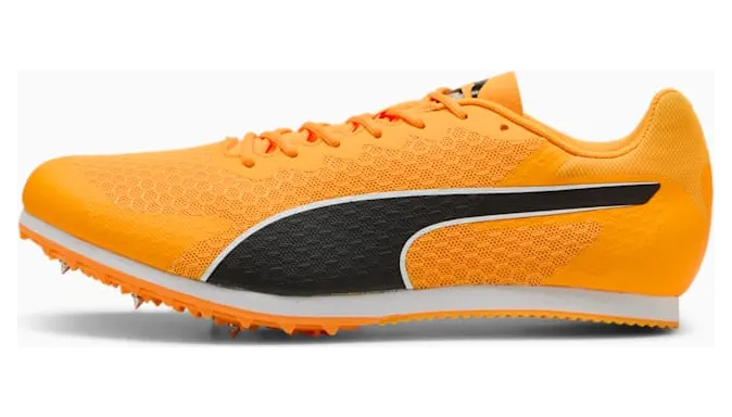 puma-evospeed 311379-03