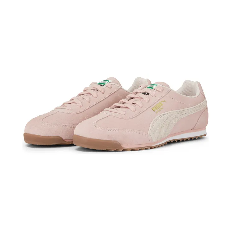 puma-arizona 402362_03