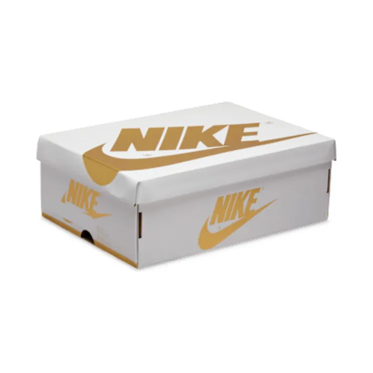 air-jordan-1 FD2596-107