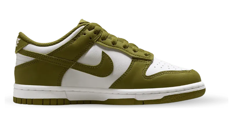 nike-dunk FB9109-108