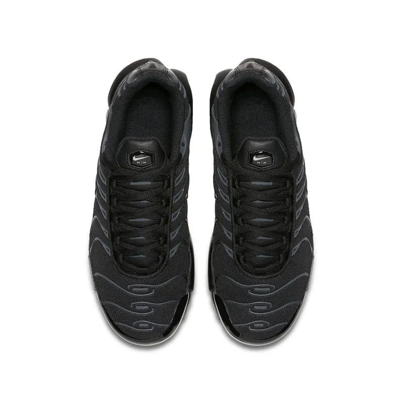 Nike Air Max Plus Black Pure Platinum (GS) (655020-053)