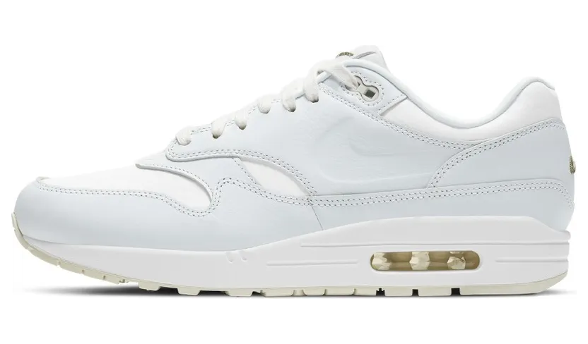 Nike Air Max 1 Asparagus (DH5493-100)