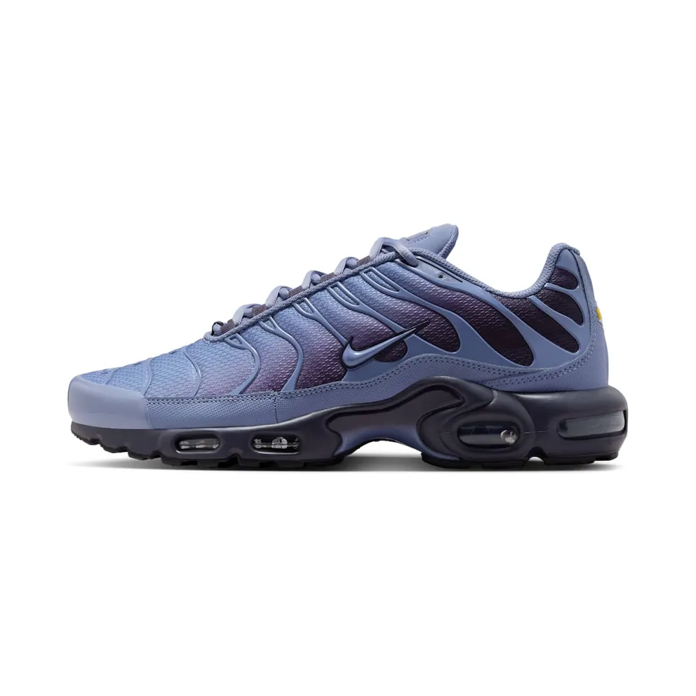 Nike Air Max Plus “World Indigo” (DM0032-404)