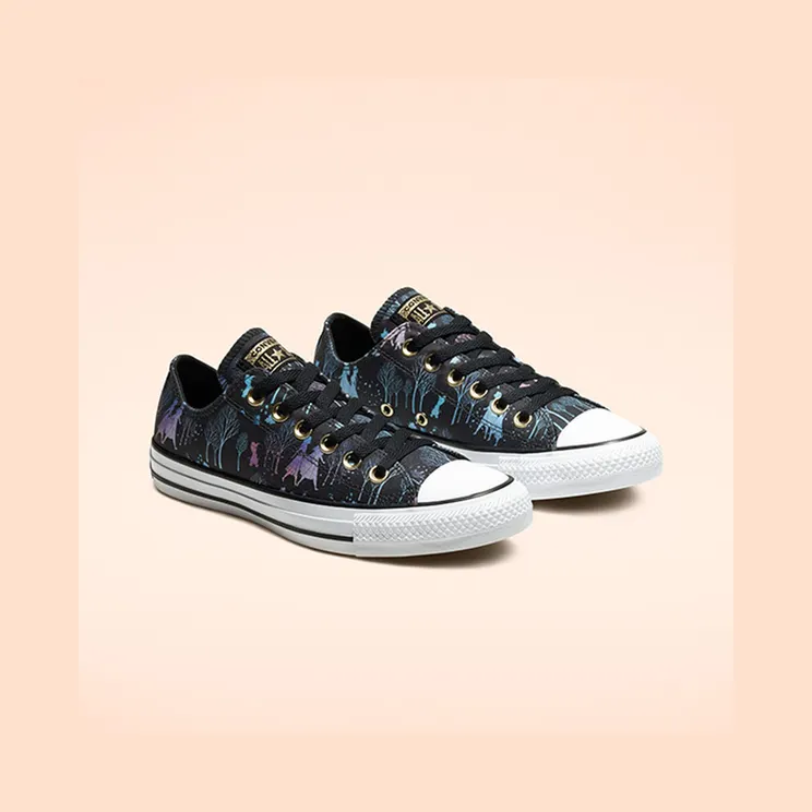 converse-chuck-taylor-all-star 167359C