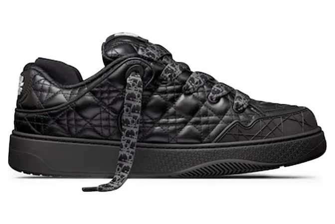 Dior B9S Skater ERL Black Quilted Cannage Calfskin (3SN288ZTT_H900)