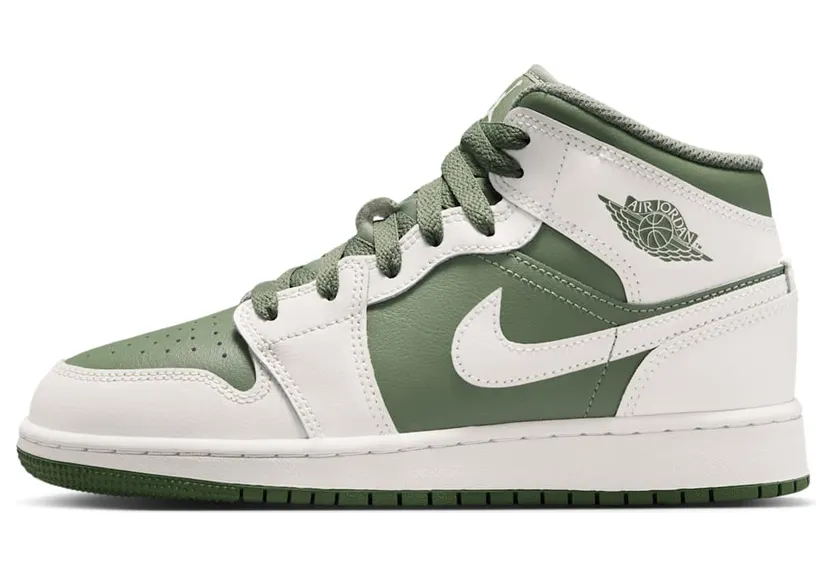 air-jordan-1 DQ8423-107