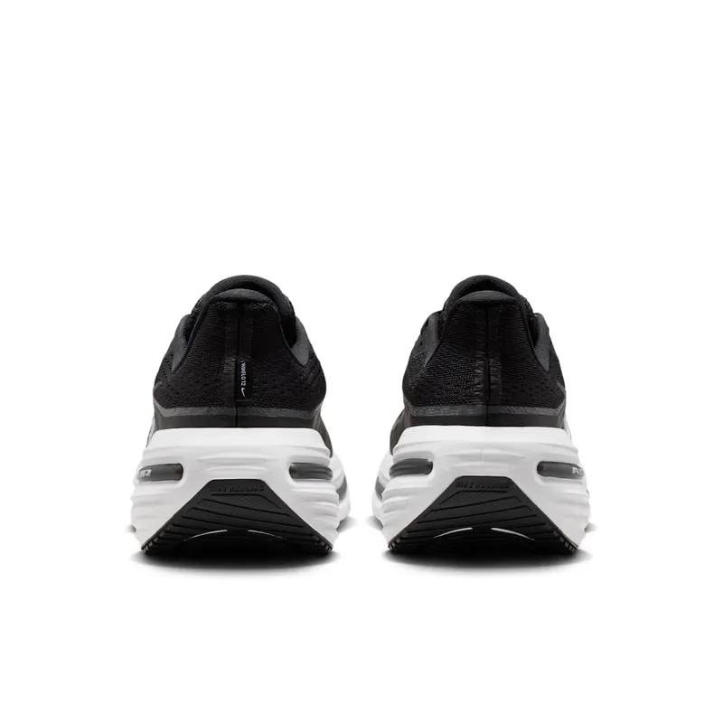 Nike Winflo 12 Black (HV9272-002)