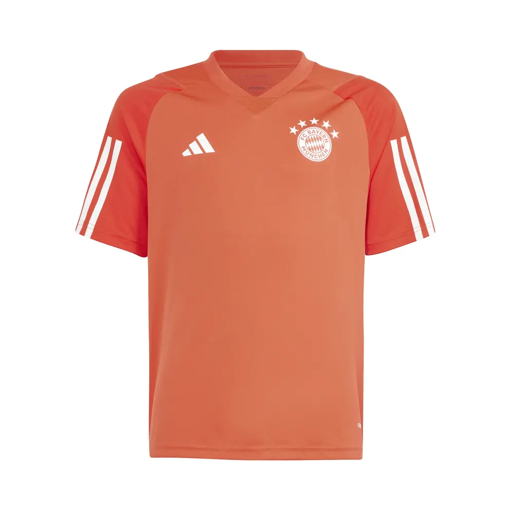 Nike Ausgefranste V5 RNR – Grey (IQ0613)