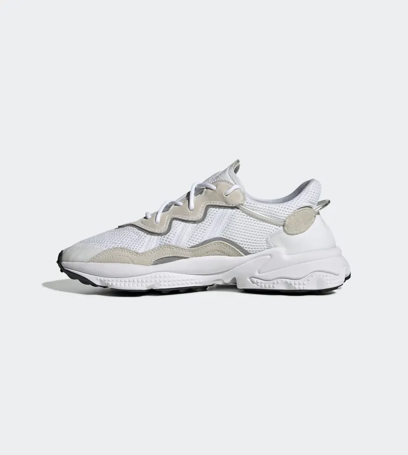 adidas-x-raf-simons-ozweego EE6464