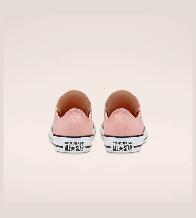 converse-chuck-taylor-all-star 167908C