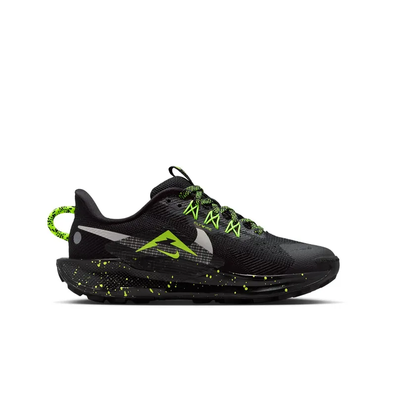 Nike Pegasus Trail Black (FV5638-006)