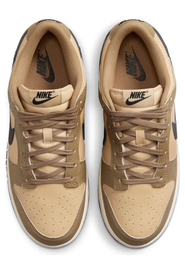 nike-dunk DD1503-200