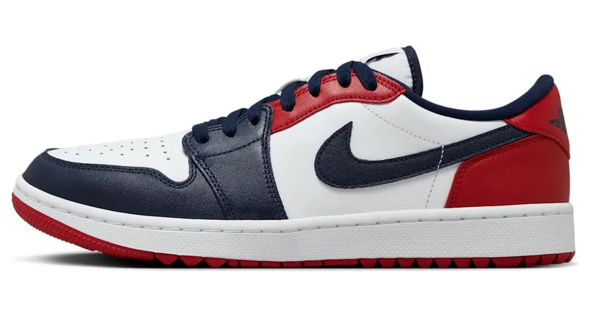 Air Jordan 1 DD9315-113