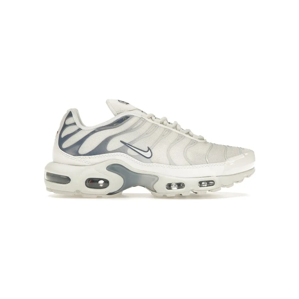 Nike Air Max Plus Ashen Slate (DZ3671-104)