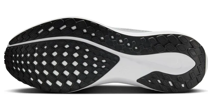 nike-air-pegasus FD2722-009