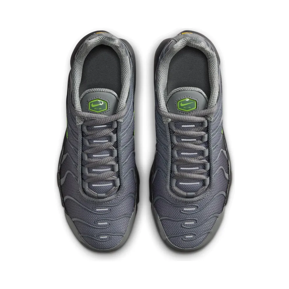 Nike Air Max Plus Grey (IF6169-084)