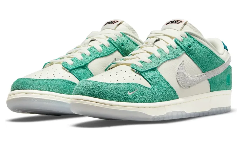 nike-dunk CZ6501-101
