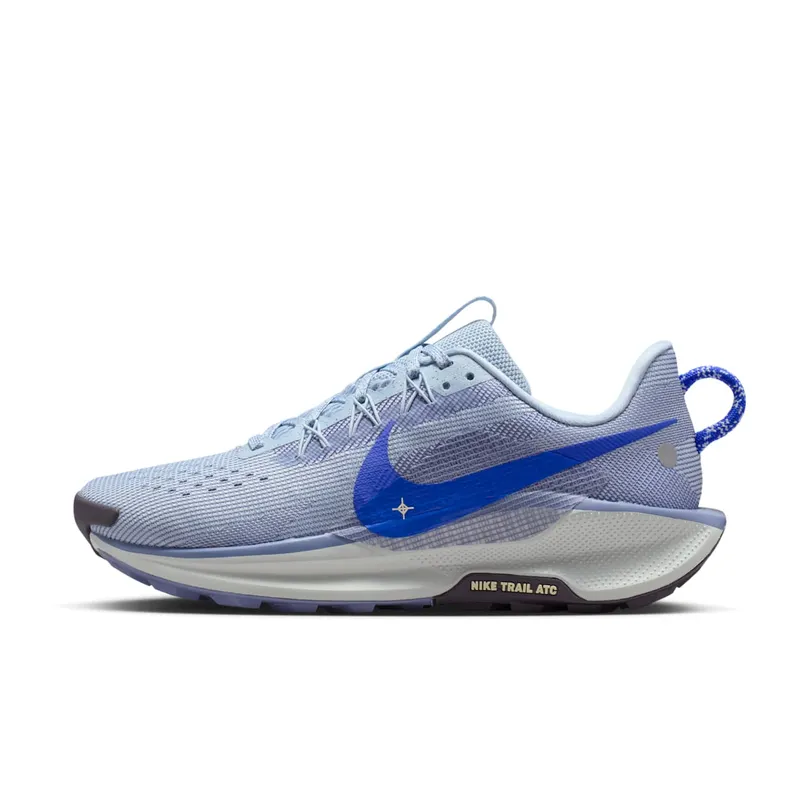 Nike Pegasus Trail Blue (DV3865-403)