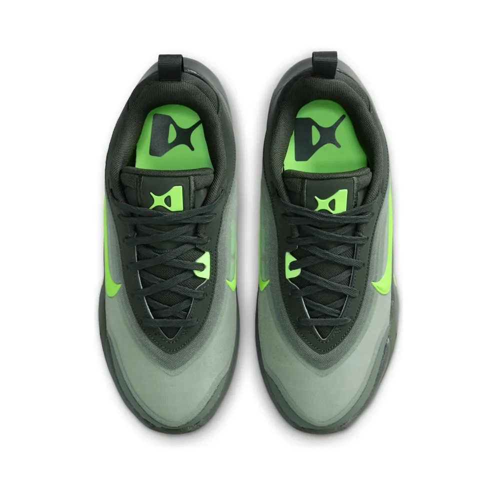 Nike A’ja Wilson A’One Sequoia (HF7001-301)