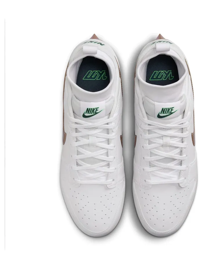 nike-dunk FN6721-100