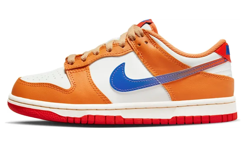 Nike Dunk Low DH9765-101