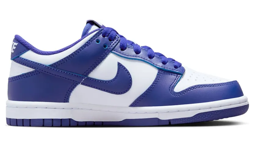 nike-dunk FB9109-106