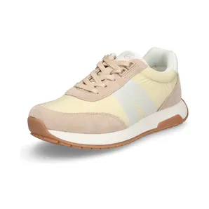 Ara multicolored (1037513)