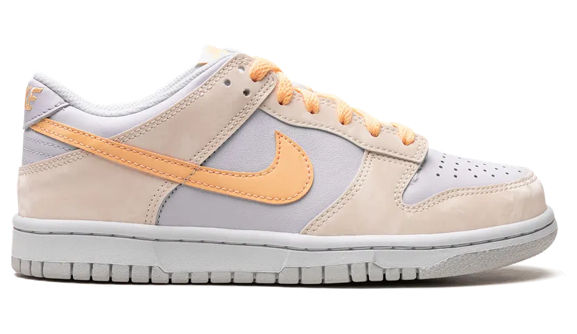 nike-dunk FB9109-100