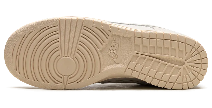 nike-dunk DZ2538-100