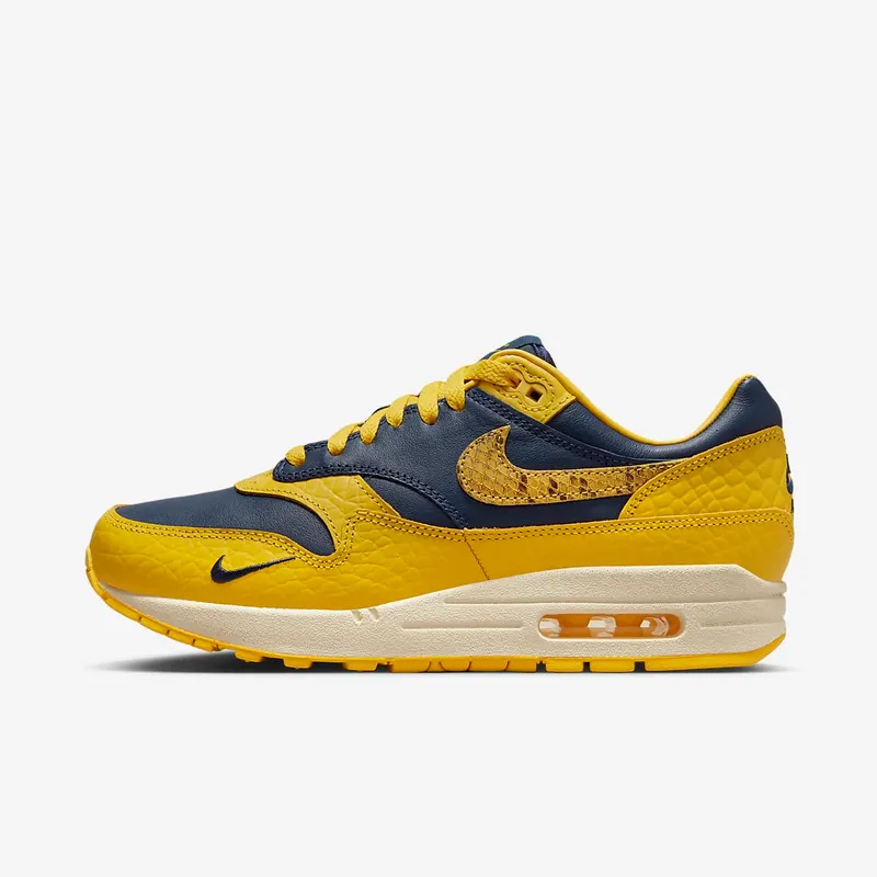 Nike Air Max 1 CO.JP Michigan Head to Head (W) (FJ5479-410)