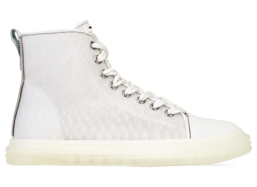 Giuseppe Zanotti Blabber jellyfish (RU00055001)