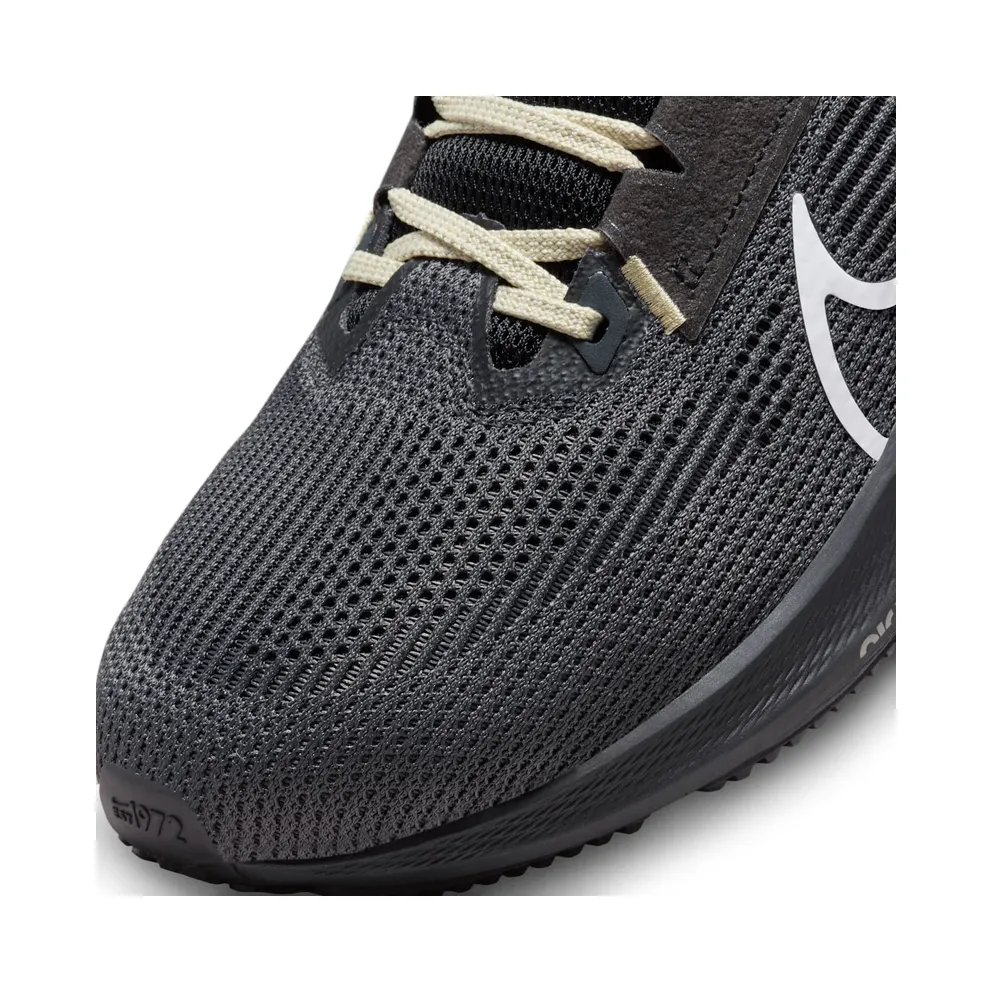 Nike Other Running Anthracite / Black / Team Gold (DZ5996-001)