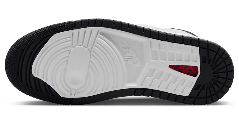 air-jordan-1 DV1305-040