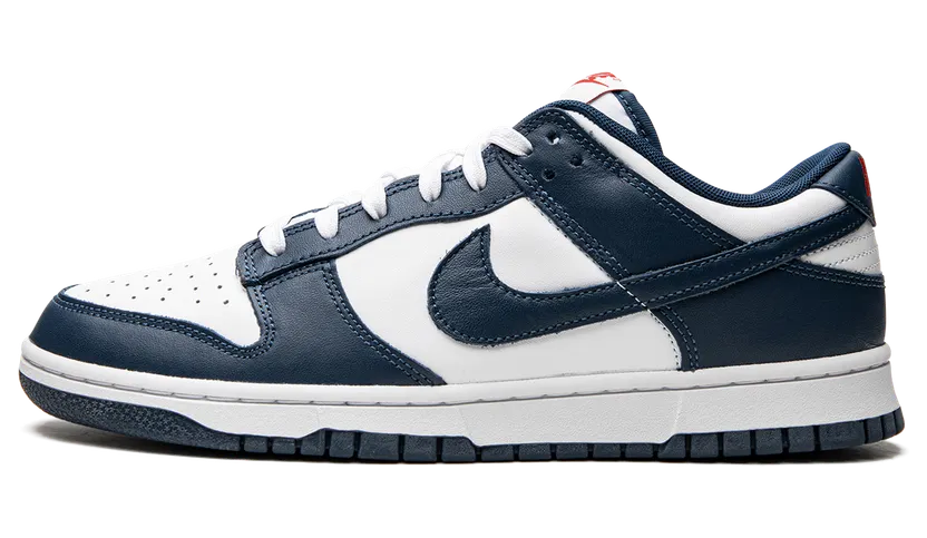 Nike Dunk Low Valerian Blue (DD1391-400)