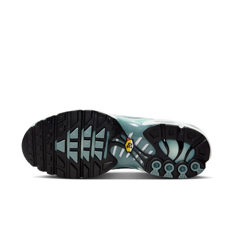 Nike Air Max Plus “Waterway” (FV0394-300)