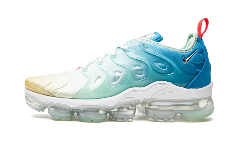 Nike AIR VAPORMAX PLUS MNS “Since 1972” (DQ7651-300)