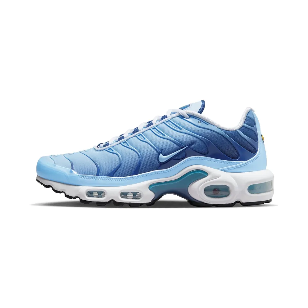 Nike Air Max Plus Maui/Diffused Blue/Midnight Navy/Celestine Blue (FJ4736-400)
