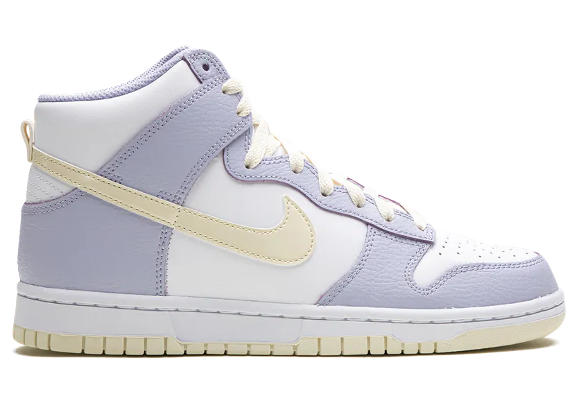 nike-dunk FN3504-100