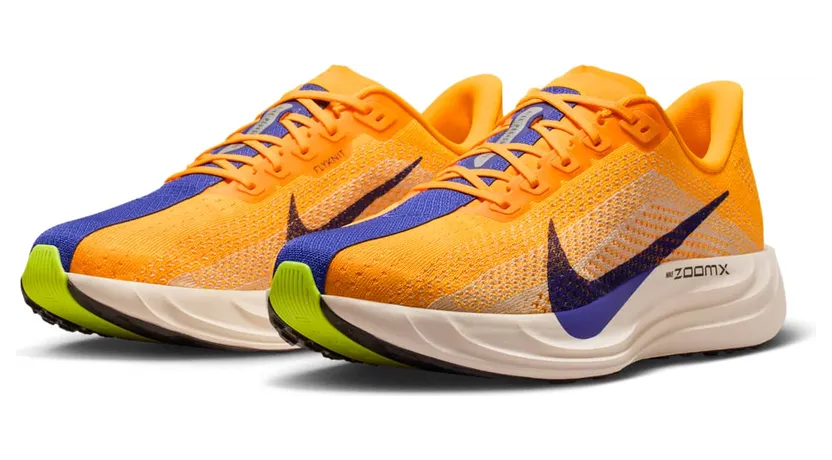 nike-air-pegasus FQ7262-801