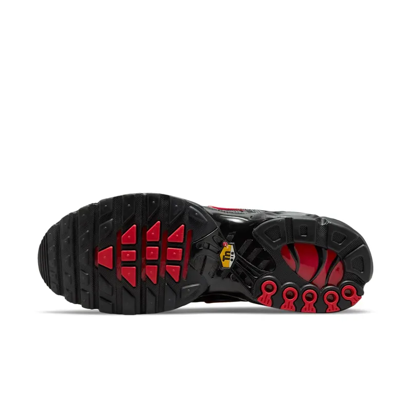 Nike Air Max Plus Metal Mesh Black Red (DO6383-001)