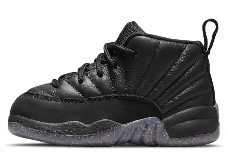 Air Jordan 12 DM5206-006