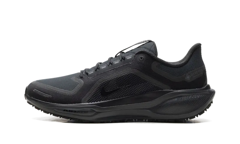 Nike Air Zoom Pegasus 41 GTX “Black Anthracite” (FQ1356-001)