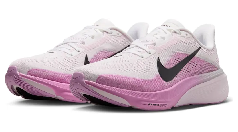 nike-air-pegasus IB1881-103