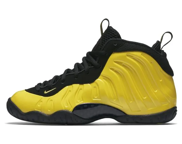 Nike Air Foamposite One Wu-Tang (GS)