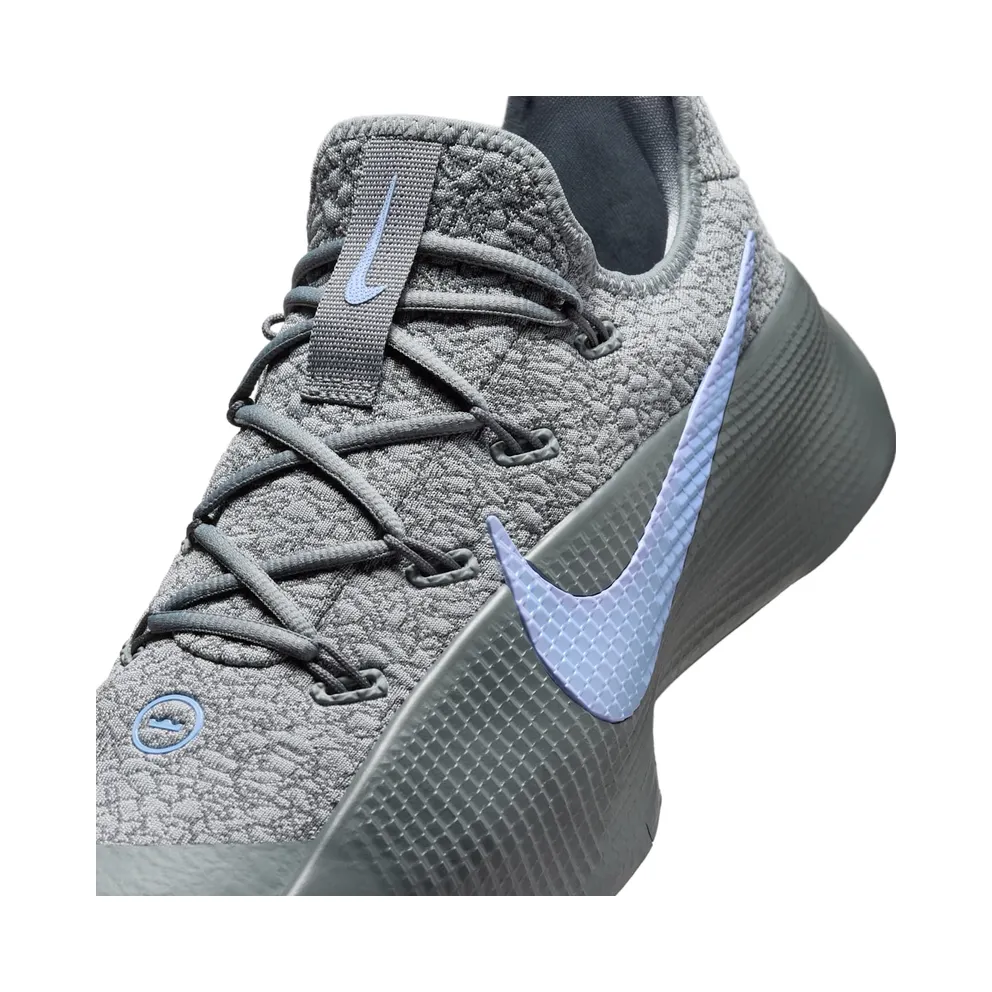 Nike LeBron TR 1 Cool Grey Aluminum (FJ6151-008)