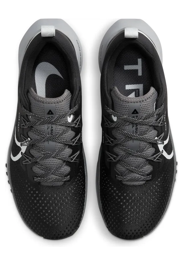 nike-air-pegasus DJ6159-001