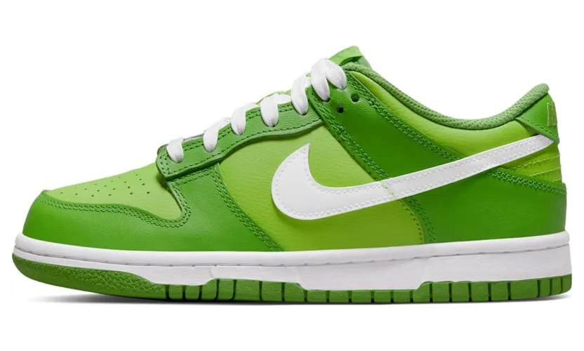 Nike Dunk Low DH9765-301