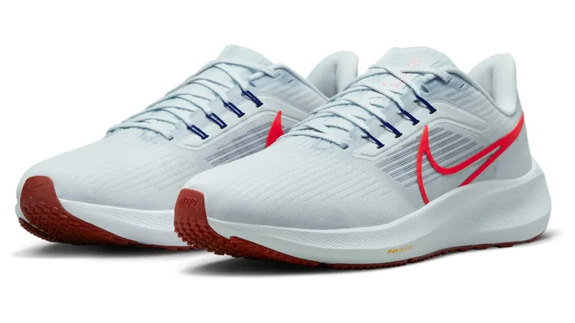 nike-air-pegasus DH4071-007