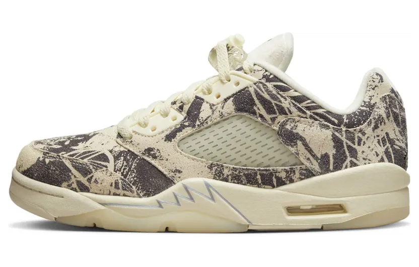 Air Jordan 5 DA8016-100